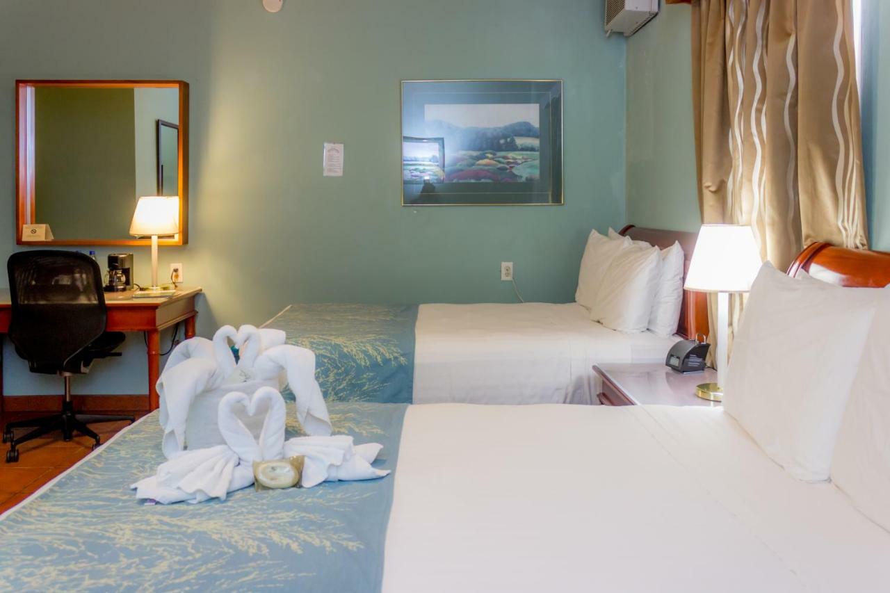 Rolson Hotel San Ignacio Zewnętrze zdjęcie