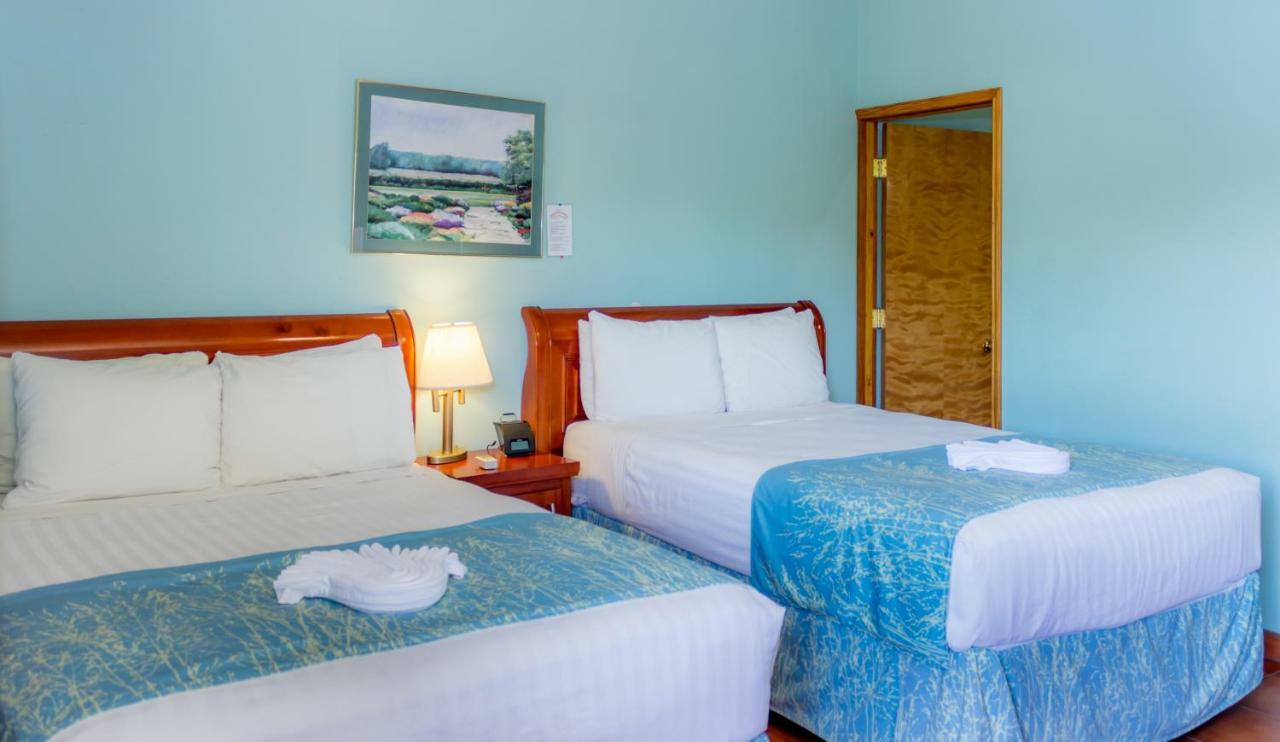Rolson Hotel San Ignacio Zewnętrze zdjęcie